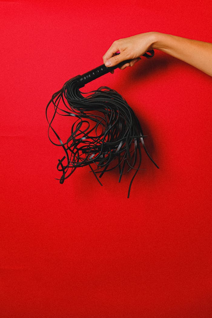 Black leather whip held by a hand on a vibrant red backdrop, symbolizing passion and sensuality.