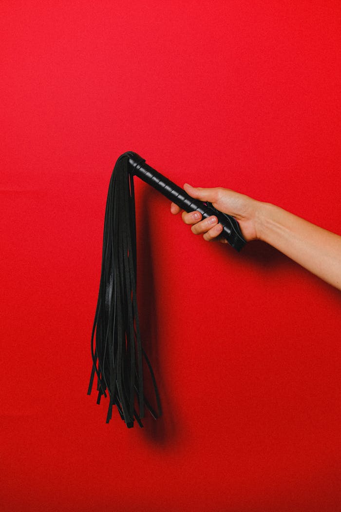 Black leather whip in hand with vibrant red background, symbolizing BDSM and sexuality.